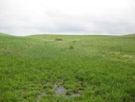 Черепашинці з panoramio.com