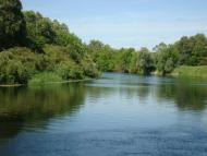 Чаплищі з panoramio.com