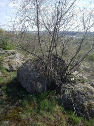 Іванівка з panoramio.com