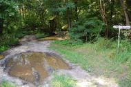 Суха Гомільша з panoramio.com