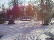 Саксагань з panoramio.com