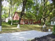 Шевченкове з panoramio.com