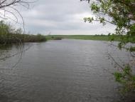 Черепашинці з panoramio.com