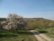 Верхня Слобідка з panoramio.com