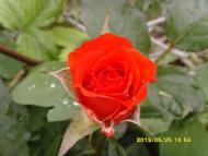 Солнечное - Последние фото