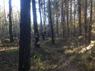 Климентовичі з panoramio.com