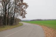 Суха Гомільша з panoramio.com