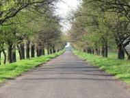 Саксагань з panoramio.com