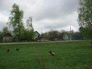 Карповичі з panoramio.com