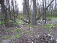 Сіряки з panoramio.com