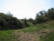 Августівка з panoramio.com