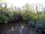 Лозова з panoramio.com