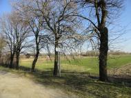 Щурин з panoramio.com