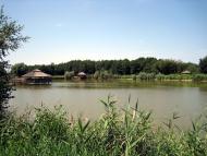 Вільхове з panoramio.com