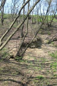 Мінеральне з panoramio.com