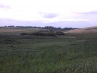 Случ з panoramio.com