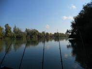 Ліски з panoramio.com