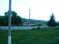 Пасат з panoramio.com