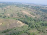 Заможнє з panoramio.com