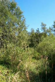 Фітьків з panoramio.com