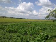 Широка Балка з panoramio.com