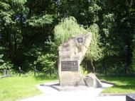 Шепарівці з panoramio.com