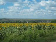 Панкратове з panoramio.com