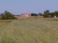 Малинівка - Останні фото