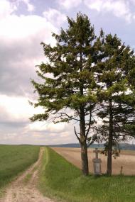 Ушня з panoramio.com