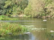 Мала Мечетня з panoramio.com