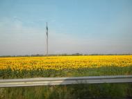 Голубівка з panoramio.com