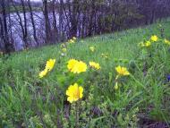 Новоданилівка - Останні фото