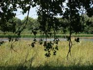 Мирлоги з panoramio.com