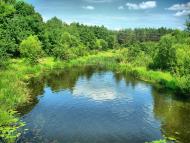 Поліське з panoramio.com