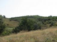 Августівка з panoramio.com