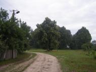 Августівка з panoramio.com