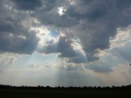 Свободне - Останні фото