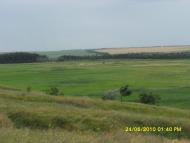 Василівка Перша з panoramio.com
