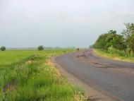 Чаплинка з panoramio.com