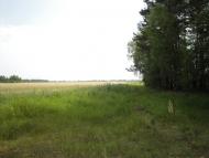 Скиток з panoramio.com