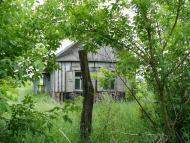 Василівка Перша - Останні фото