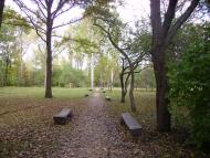 Шевченкове з panoramio.com