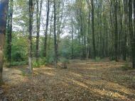 Пархомівці з panoramio.com