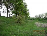 Бірюкове з panoramio.com