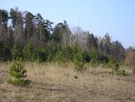 Півнева Гора з panoramio.com