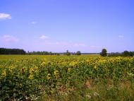 Бірки з panoramio.com