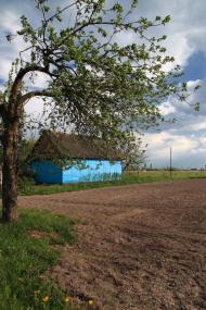 Браженець з panoramio.com