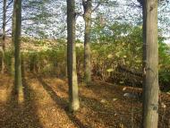 Пархомівці з panoramio.com