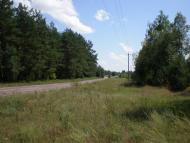 Чаплищі з panoramio.com