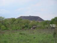 Дубівський з panoramio.com